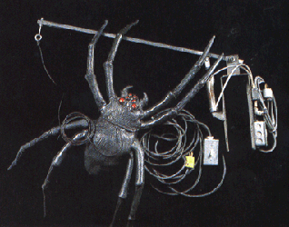 attackspider.gif attackspider.gif