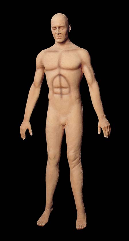 body.jpeg body.jpeg