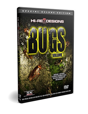 bugs.jpeg bugs.jpeg