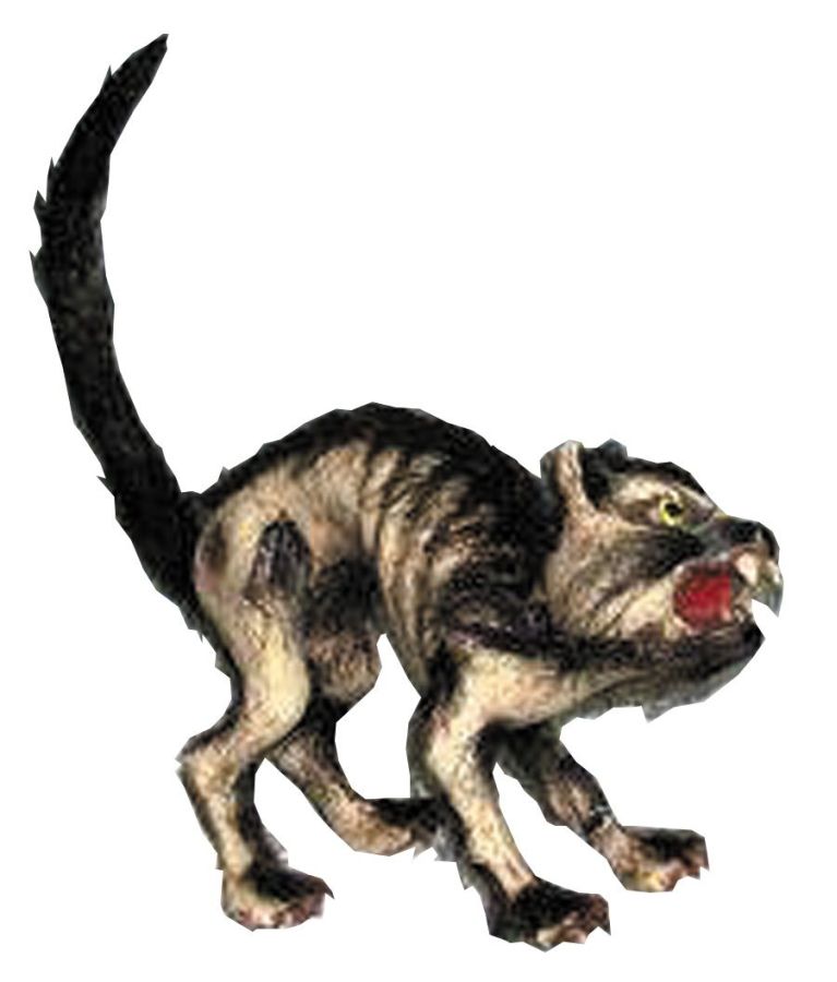 cat.jpeg cat.jpeg