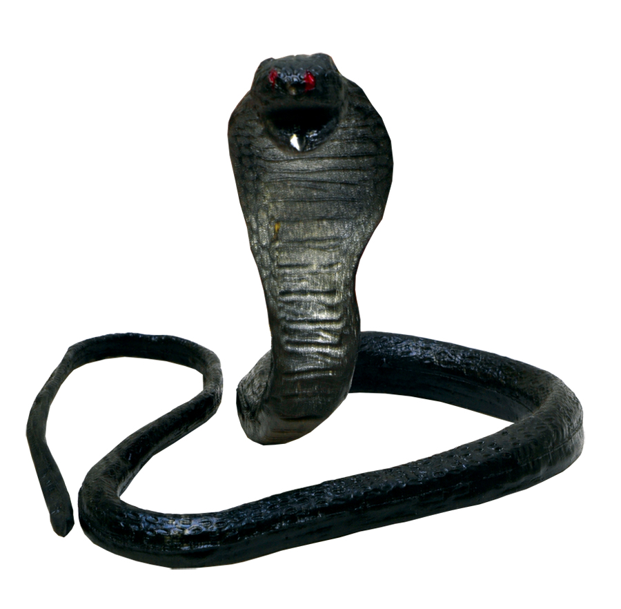 cobra.jpeg cobra.jpeg