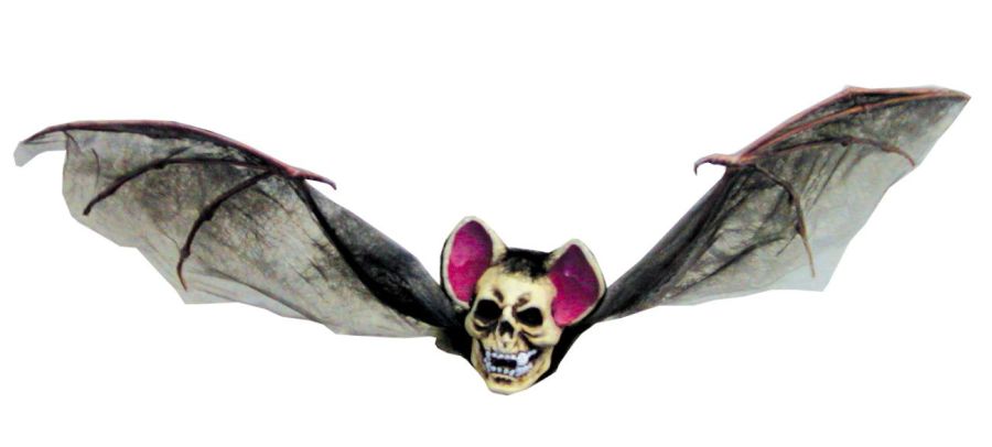 creepybat.jpeg creepybat.jpeg