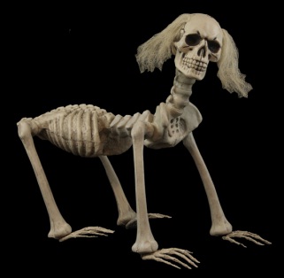 dogskeleton.jpeg dogskeleton.jpeg