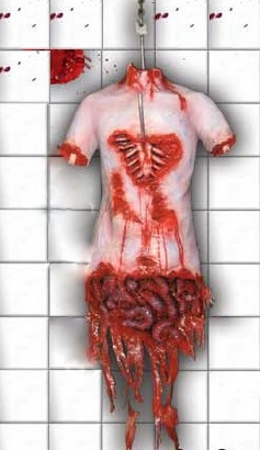 fresh-meat.jpeg fresh-meat.jpeg