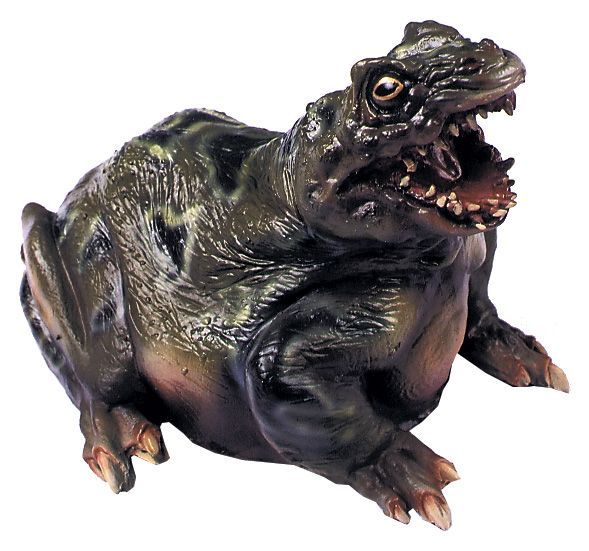 frog.jpeg frog.jpeg