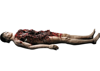 gory.jpeg gory.jpeg