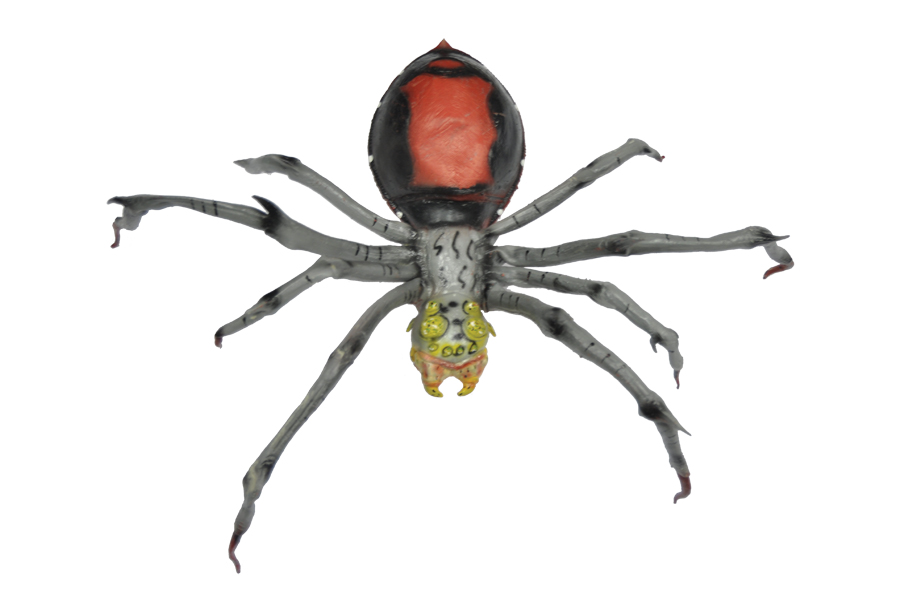 spider.jpeg spider.jpeg