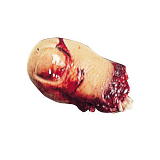 toe.jpeg toe.jpeg